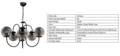 ORLEON SİYAH - FÜME GLOBE TOP CAM