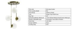4LÜ ÇUBUK SARKIT ESKİTME - BAL GLOBE(TOP) CAM