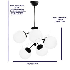 DAL 5Lİ SİYAH - BAL GLOBE(TOP) CAM