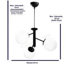DAL 3LÜ KREM - BAL GLOBE(TOP) CAM