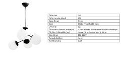 DAL 4LÜ SİYAH - BEYAZ GLOBE(TOP) CAM