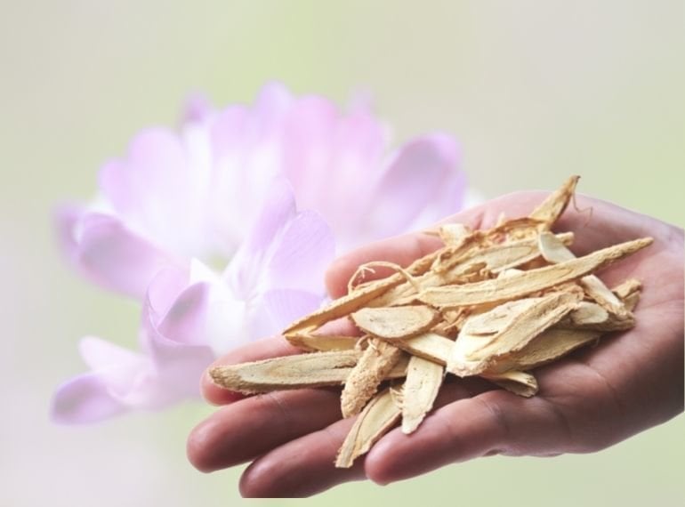 Çin Geveni (Astragalus) Nedir, Faydaları Neler, Nasıl Kullanılır?