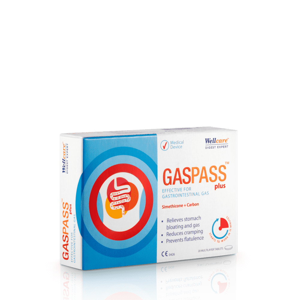 Wellcare Gaspass Plus 20 Tablet-