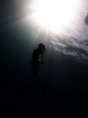 PADI Freediver Course