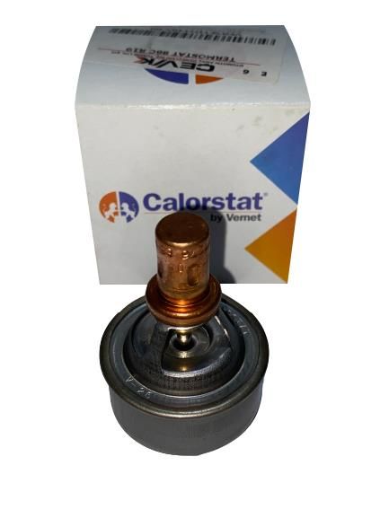 TERMOSTAT / RENAULT R9 / 7700722762 - TH4495.86