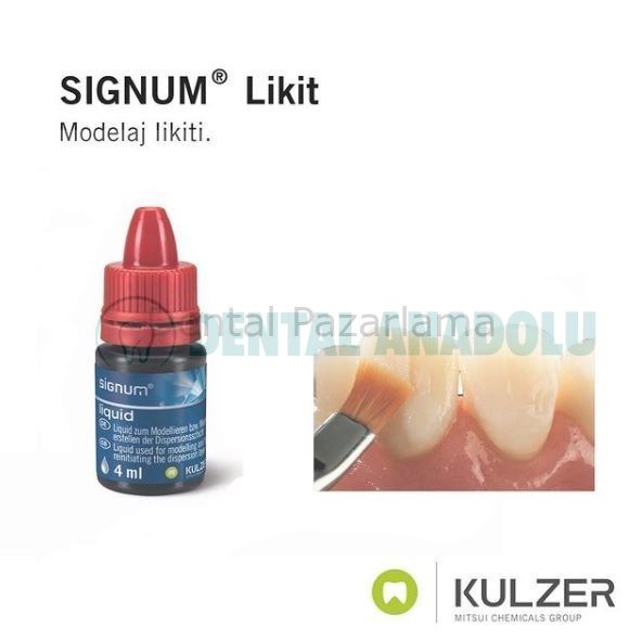 Kulzer Signum Kompozit Modelaj Likiti 4 ML