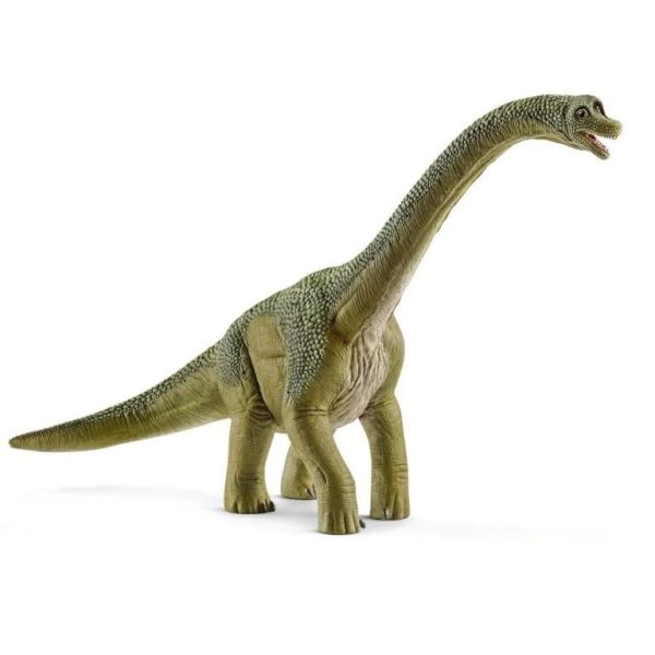 Adore Brachiosaurus CDS14581