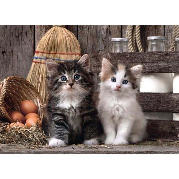 Clementoni Puzzle 1000 Hqc Lovely Kittens 39340