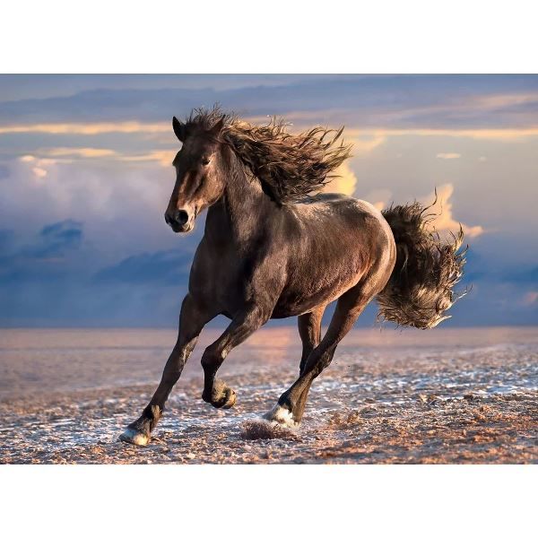 Clementoni Puzzle 1000 Hqc Free Horse 39420