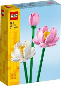 LEGO Iconic Lotus Çiçekleri