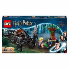 LEGO Harry Potter Hogwarst Araba ve Testraller