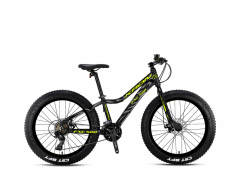 FXC500 - 24'' MTB - M.Disk