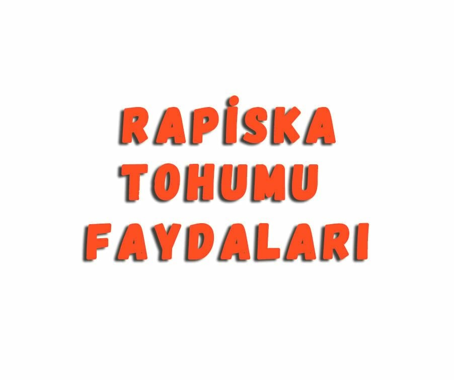 Rapiska Tohumu Faydaları