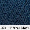 231 - Petrol Mavi