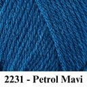 2231 - Petrol Mavi