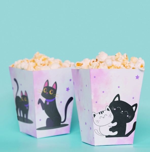Kedi Temalı Pop Corn Kutusu