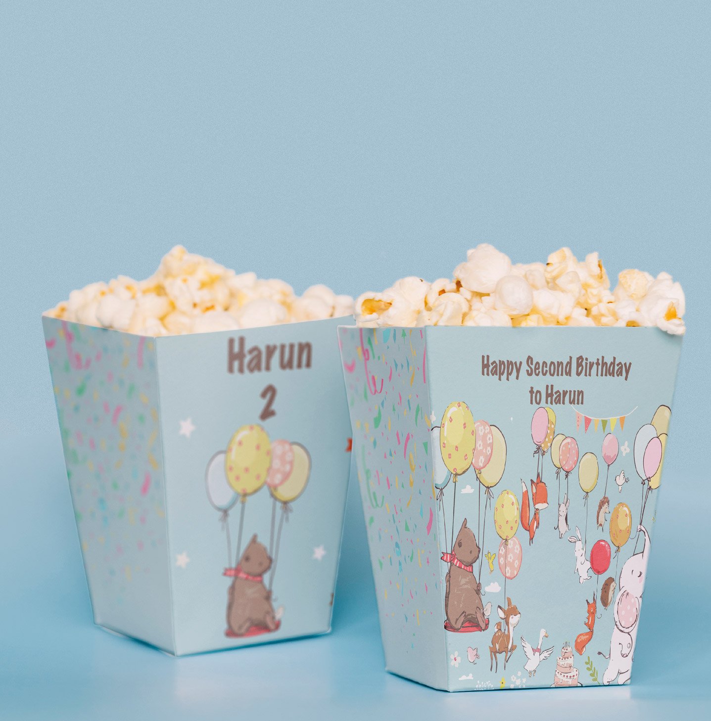 Balon Hayvanlar Temalı Pop Corn Kutusu