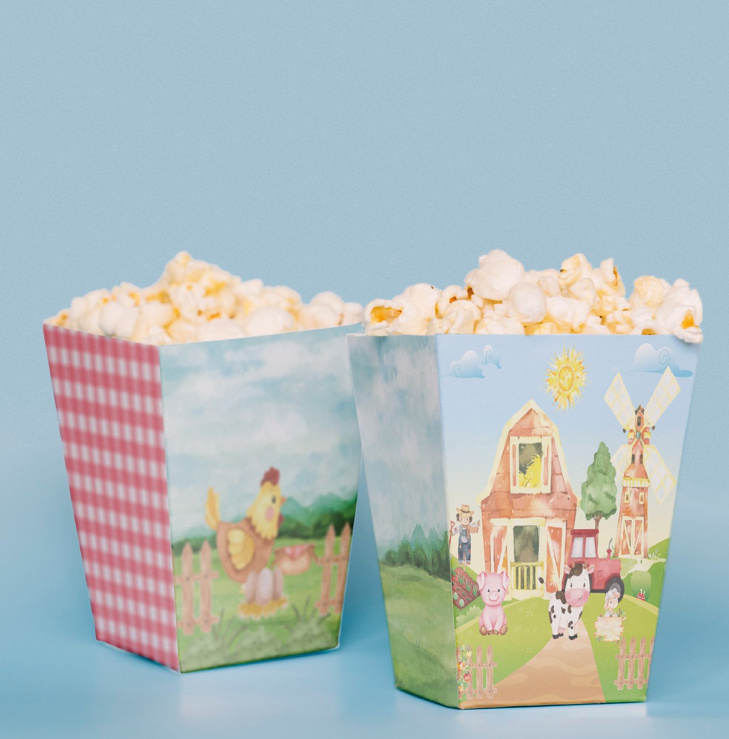 Çiftlik Konseptli Pop Corn Kutusu