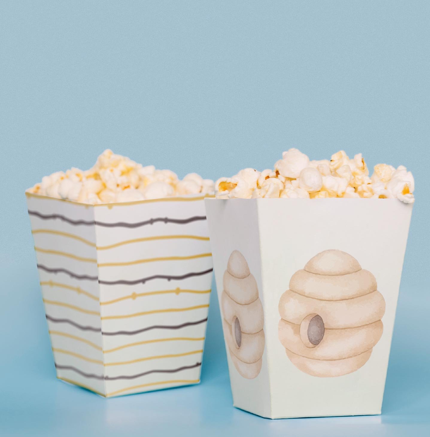 Arı Temalı Pop Corn Kutusu