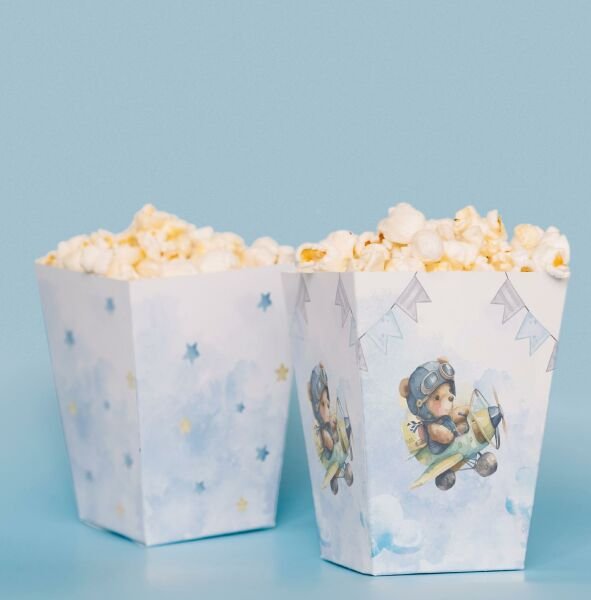 Pilot Ayıcık Temalı Pop Corn Kutusu