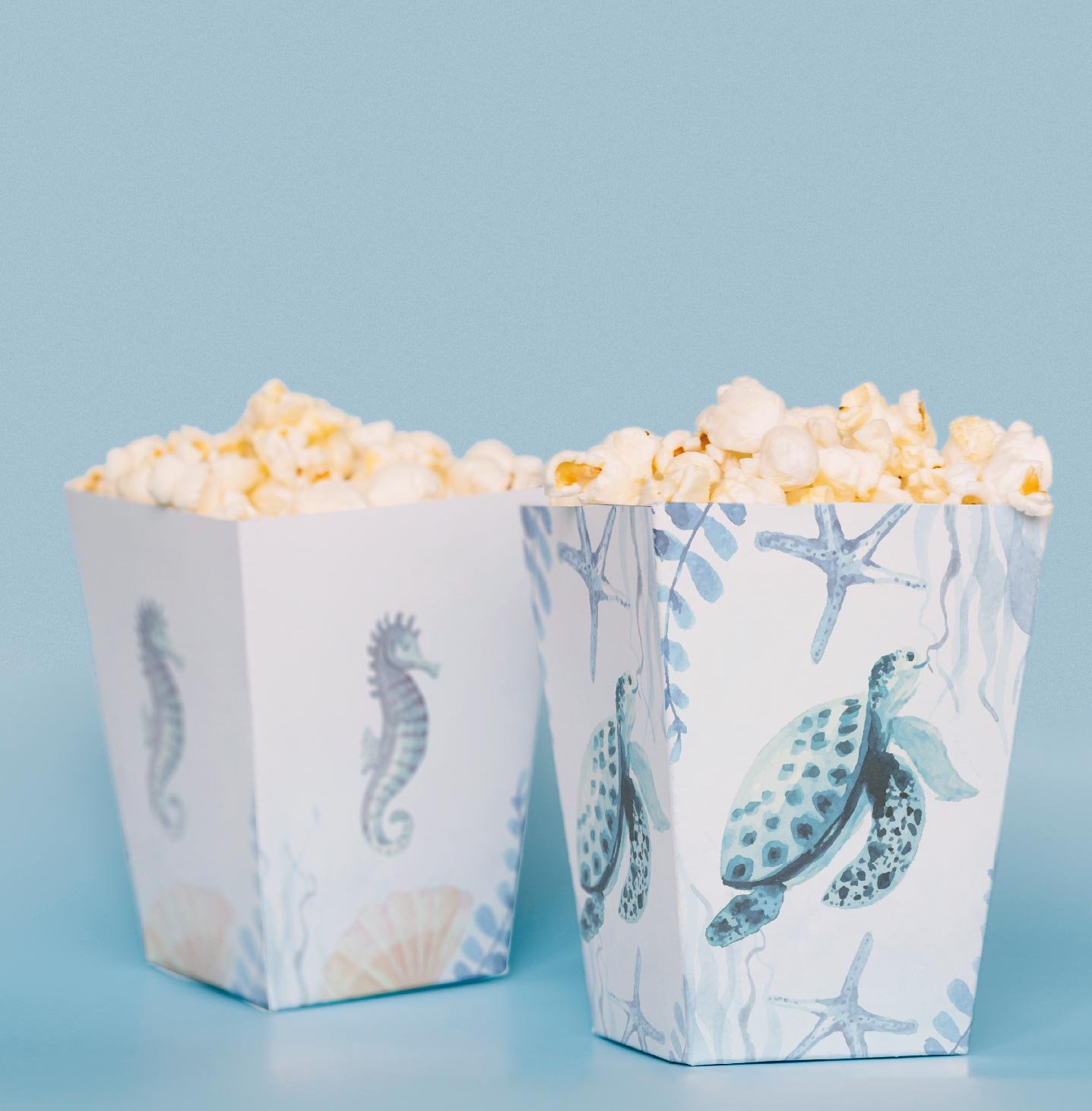 Denizaltı Temalı Pop Corn Kutusu