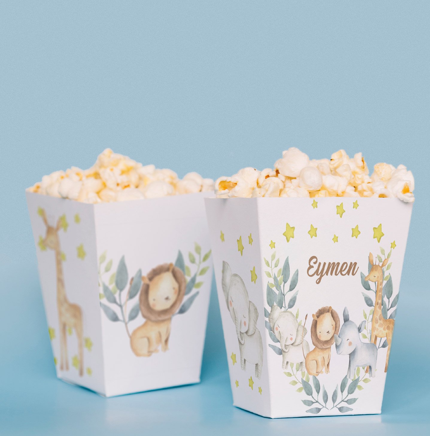 Safari Konseptli Pop Corn Kutusu