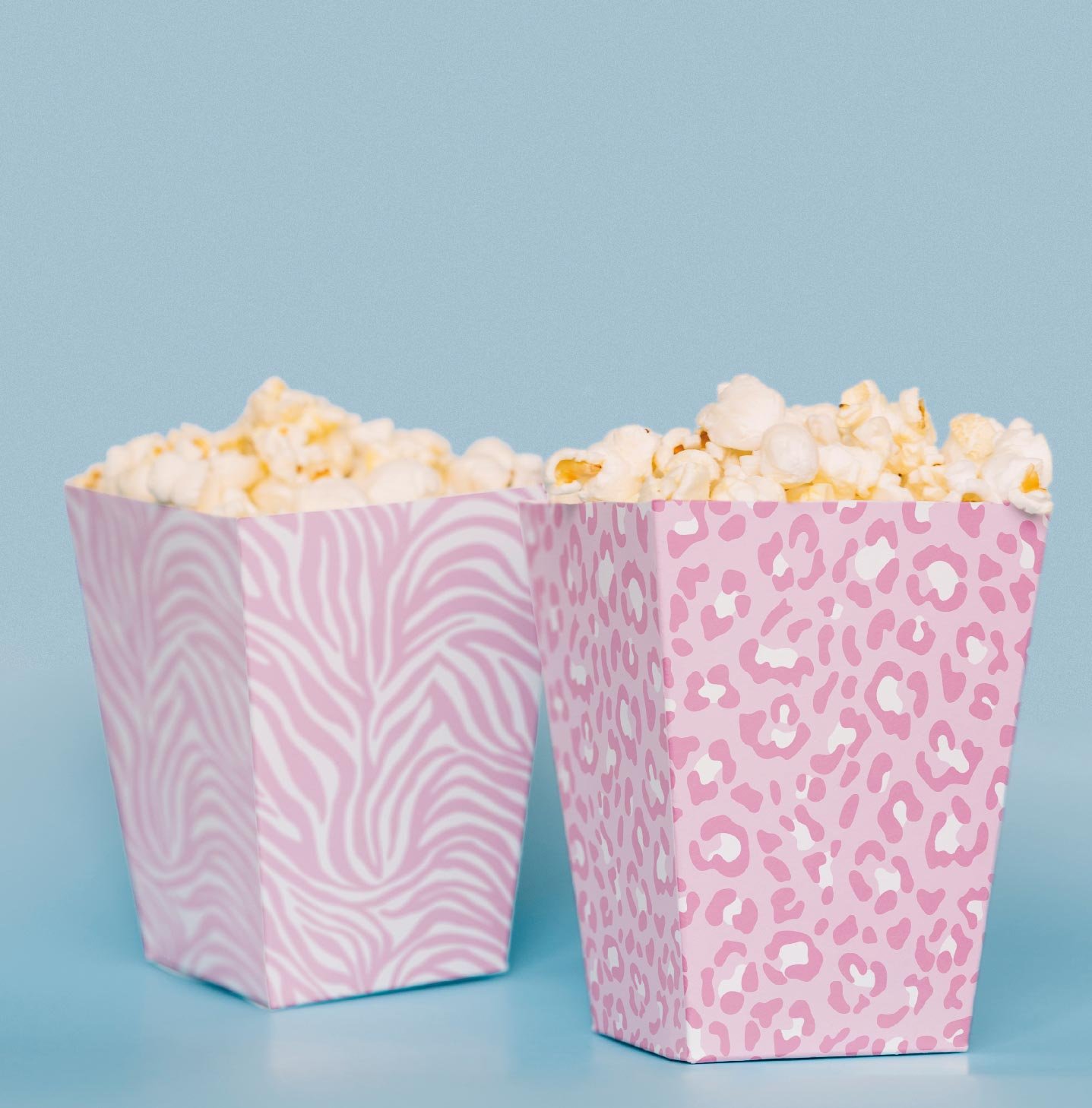 Safari Temalı Pop Corn Kutusu