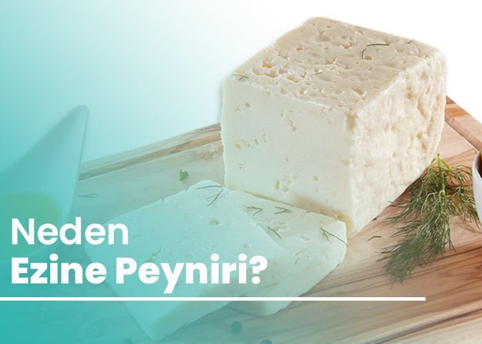 Neden Ezine Peyniri?