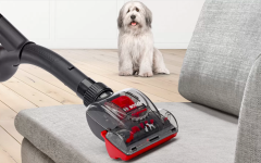 BGS41PET1 Serie | 6 Toz torbasız Süpürge ProAnimal Kırmızı