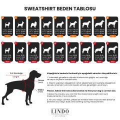Jurassic Dog Küçük ve Orta Irk Köpek Sweatshirt