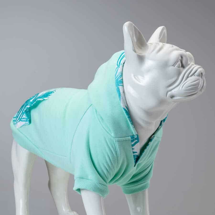 Mint Green, Orta ve Büyük Irk Köpek Sweatshirt