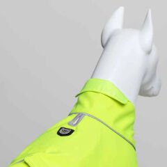 Softshell Neon Yeşil Küçük,Orta ve Büyük Irk Köpek Yağmurluğu