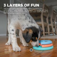 Puppy Lickin' Layers Multi Akıllı Köpek Mama Kabı