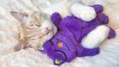Purr Pillow Mırıldayan Kedi Peluş