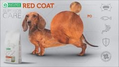 Red Coat Mini&Small Breeds Adult Dog Food with Lamb Tahılsız Kuzu Etli Küçük Irklar için Yetişkin Kızıl Köpek Maması 1,5 Kg