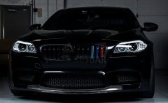 BMW 5 SERISI F10 2011-2018 M5 BOBREK (CIFT CIZGI PANJUR) - M RENK