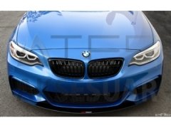 BMW F22 M Ön Lip Boyalı