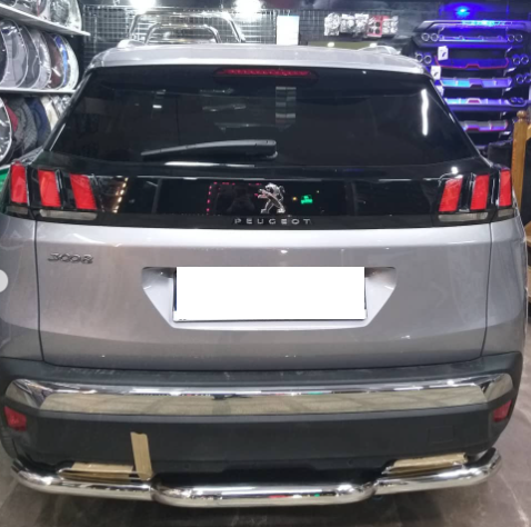 Peugeot 3008 ARKA KROM KORUMA