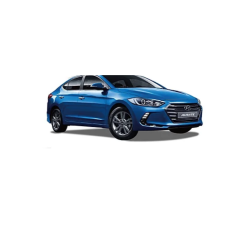 ELANTRA KARBON KAPI KOLU TAKIMI 2015-2020