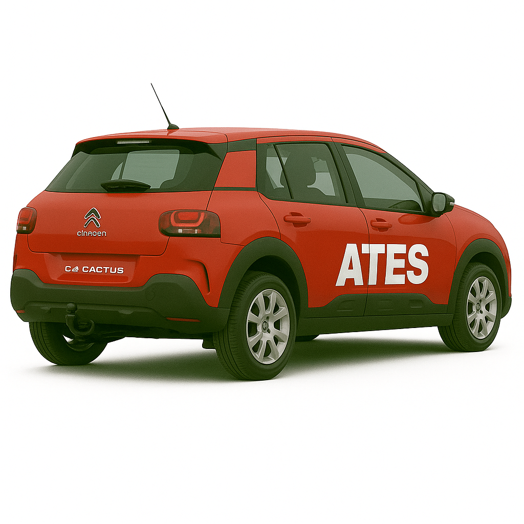 CİTROEN C4 CACTUS ÇEKİ DEMİRİ