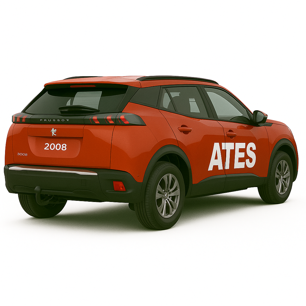 PEUGEOT 2008 ÇEKİ DEMİRİ