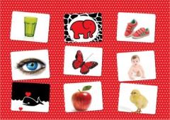 Bebek Zeka Kartları 0-12 Ay