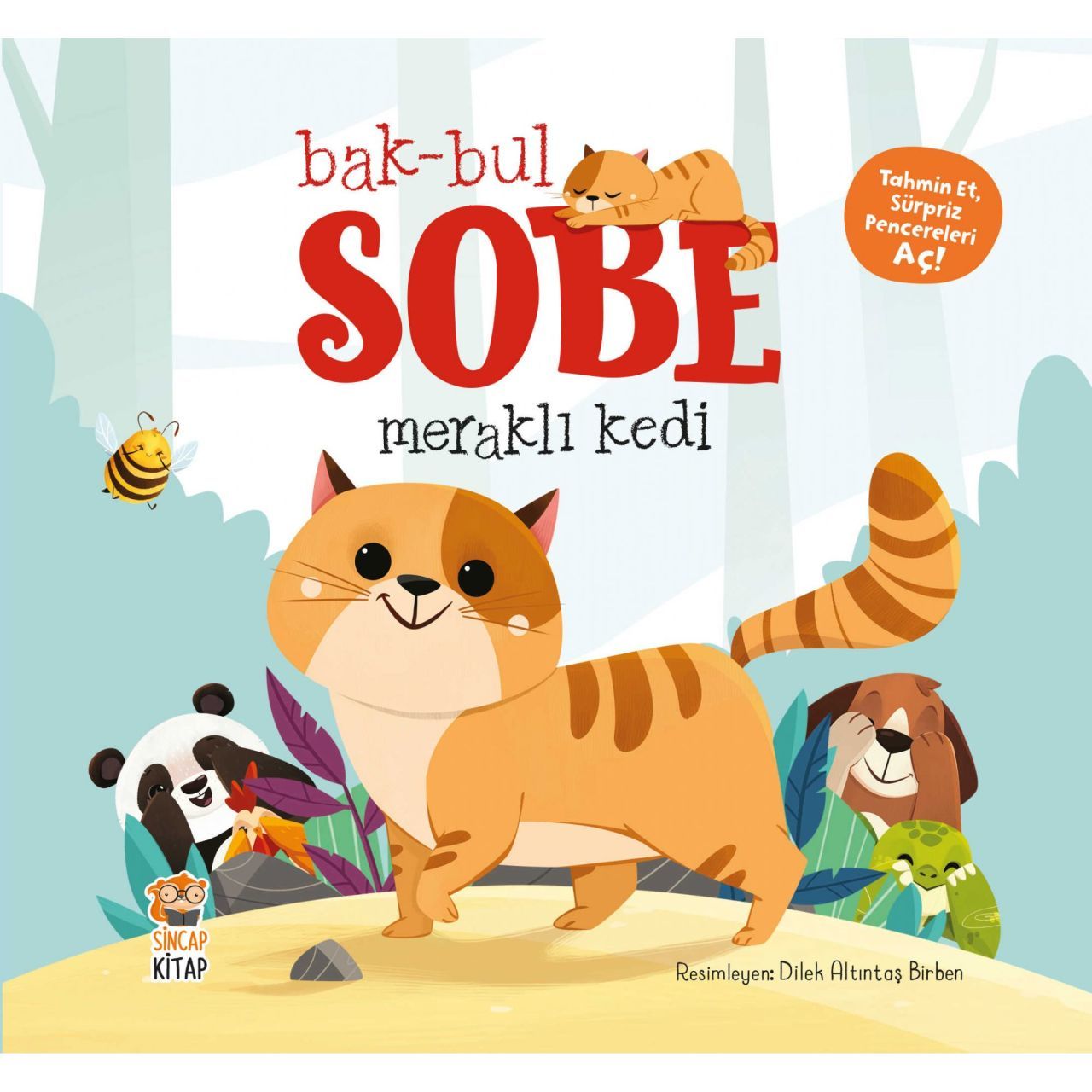 Bak Bul Sobe Meraklı Kedi