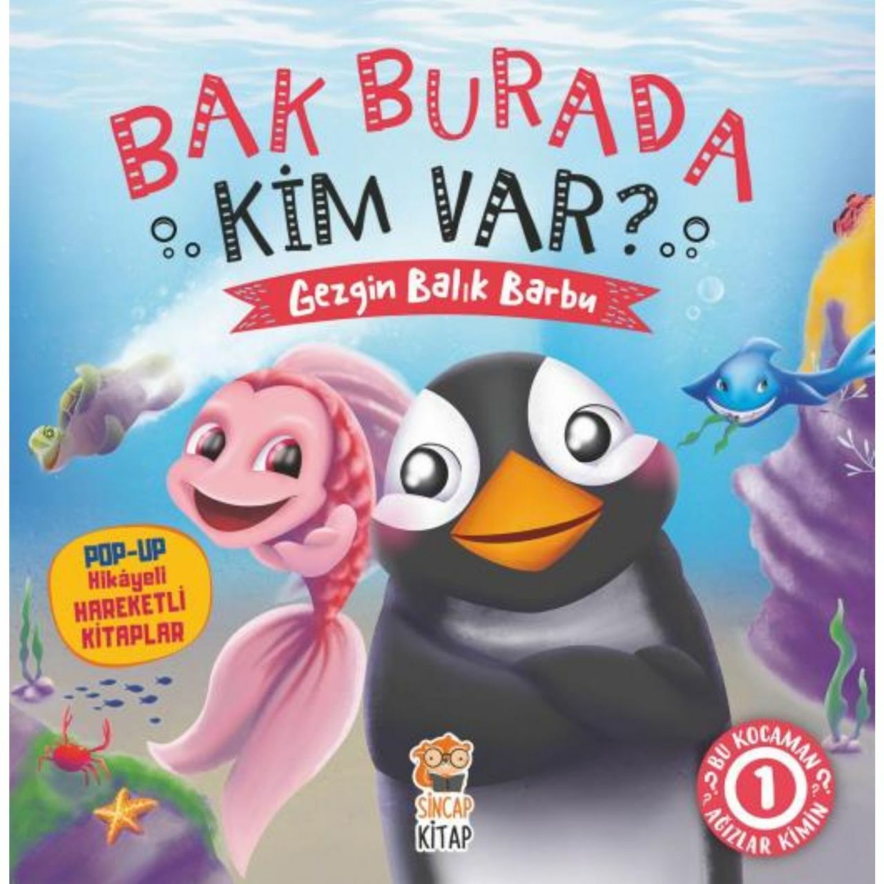 Bak Burada Kim Var Gezgin Balık Barbu