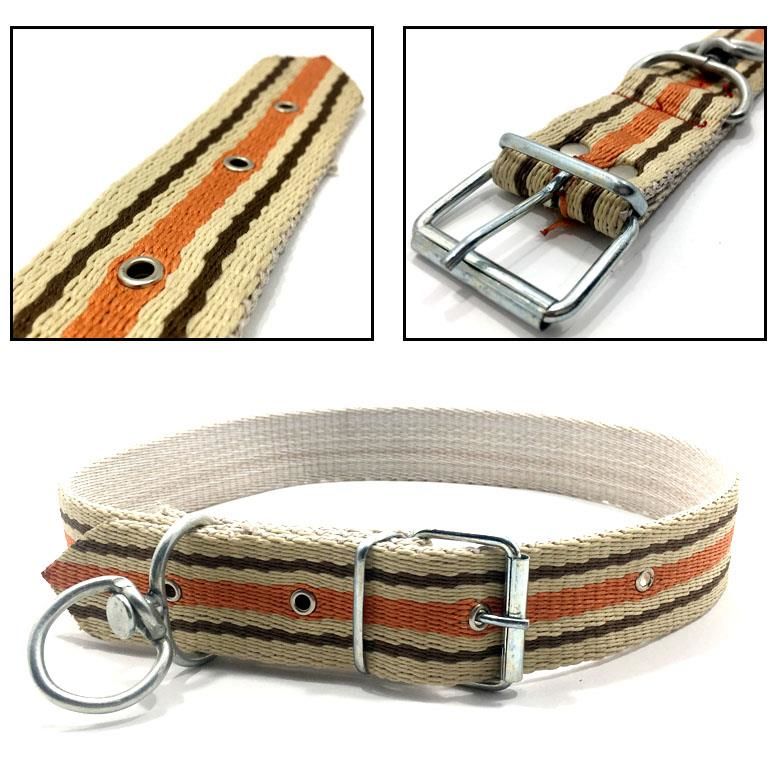 İri Köpekler ve Buzağı İçin Büyük Dokuma Tasma 68-85cm Boyun Çevr