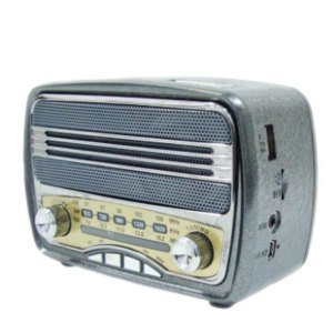 Meier M-166BT USB/SD Aux Girişli Bluetoothlu Şarjlı Küçük Boy Multimedia Radyo Portatif Müzik Kutusu