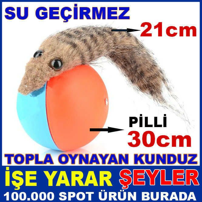 TOPUYLA OYUN OYNAYAN SANSAR DANS EDEN KUNDUZ