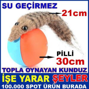 TOPUYLA OYUN OYNAYAN SANSAR DANS EDEN KUNDUZ