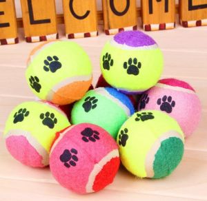 Evcil Hayvan Eğitim Topu 2 li Set