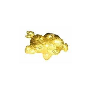 Kalpli Gün Işığı Renkli Sarı Dekor Lambası LED 20L 5 Metre